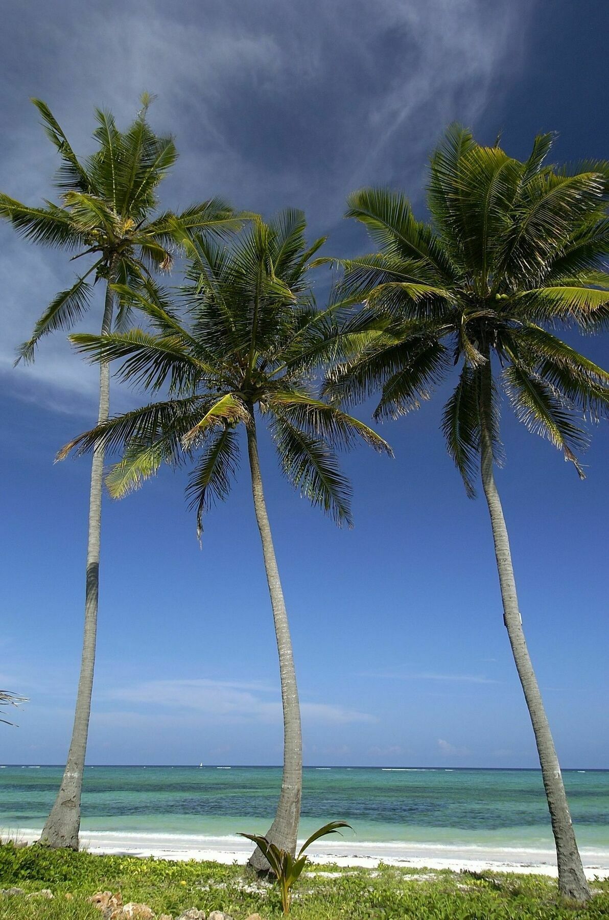 Resort The Palms Zanzibar 5*