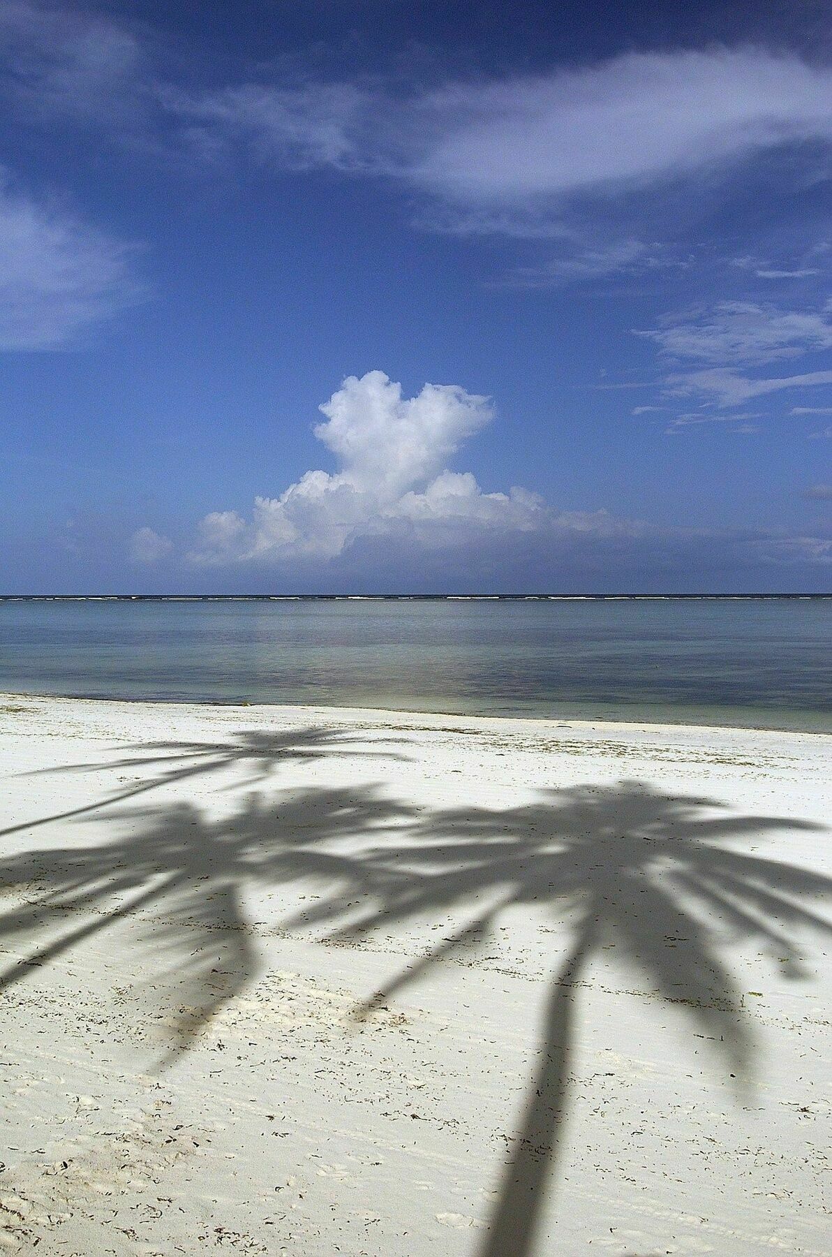 The Palms Zanzibar 5* Bwejuu